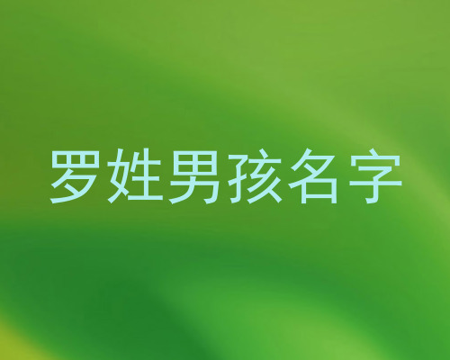 罗姓男孩名字