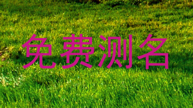 免费测名