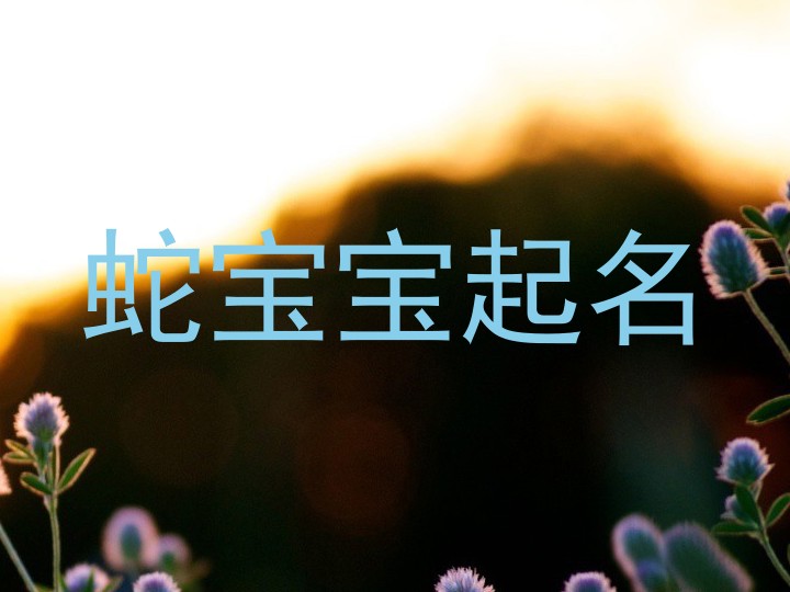 蛇宝宝起名