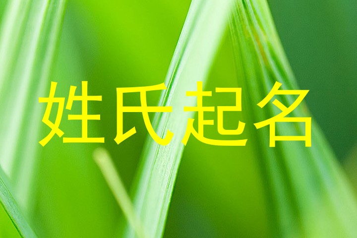 姓氏起名