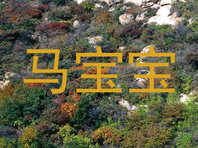 马宝宝