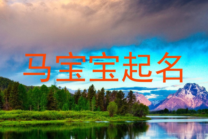 马宝宝起名