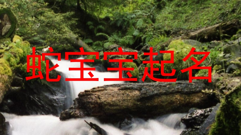 蛇宝宝起名