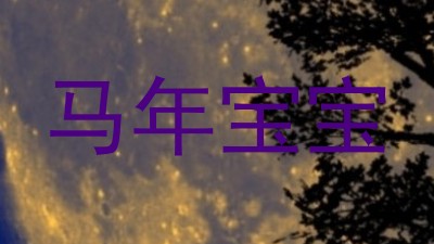 马年宝宝