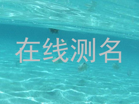 在线测名