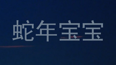 蛇年宝宝