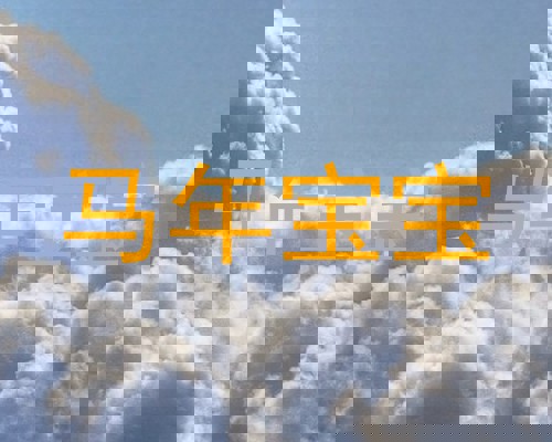 马年宝宝