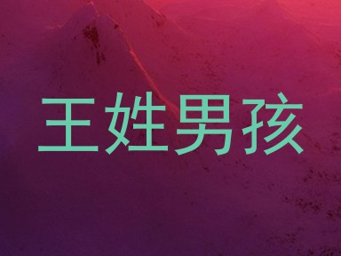 王姓男孩