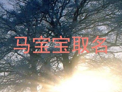 马宝宝取名