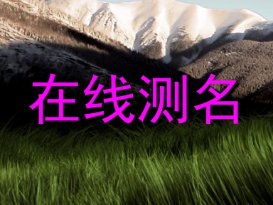 在线测名