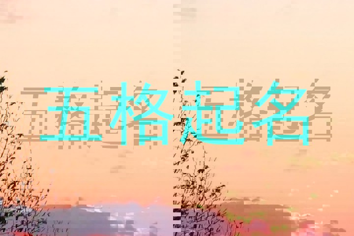 五格起名