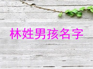 林姓男孩名字