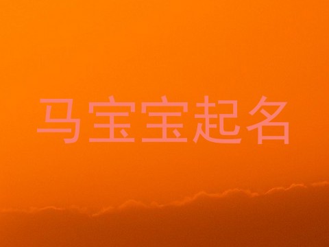 马宝宝起名