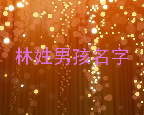 林姓男孩名字
