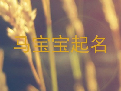 马宝宝起名
