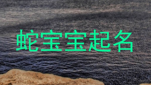 蛇宝宝起名