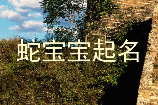 蛇宝宝起名