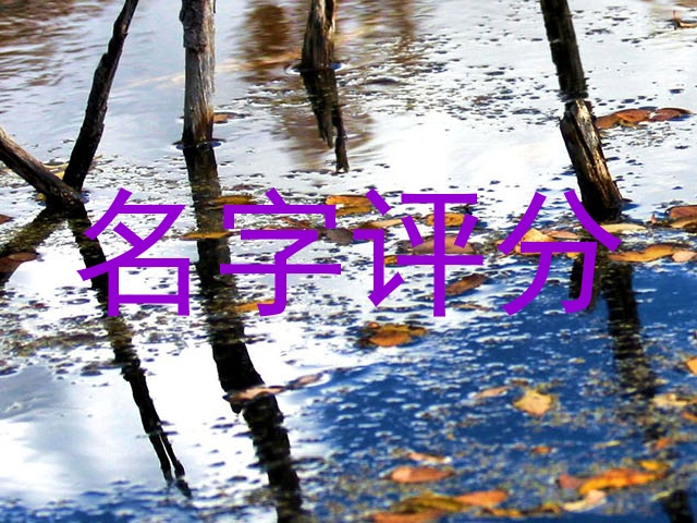 名字评分