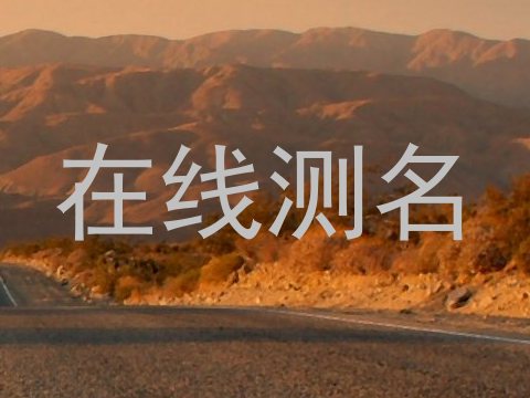 在线测名