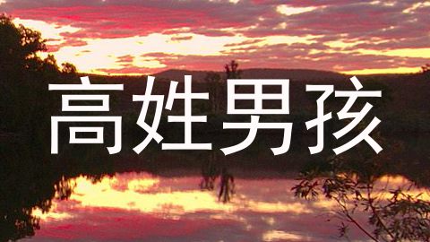 高姓男孩
