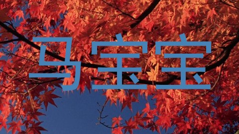 马宝宝