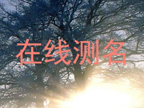 在线测名