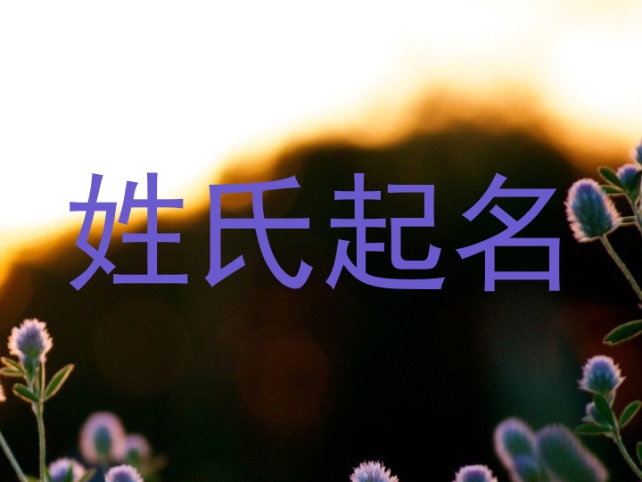 姓氏起名