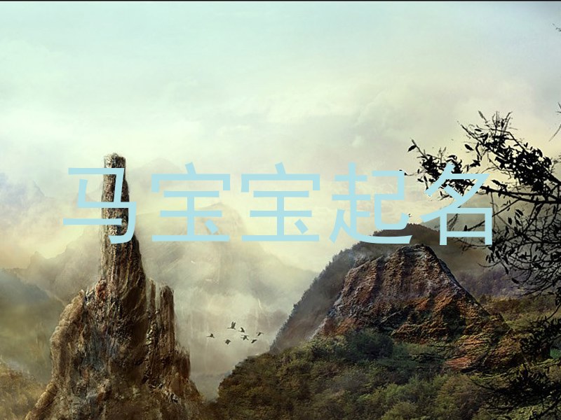 马宝宝起名