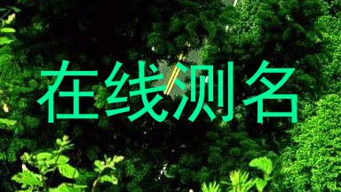 在线测名