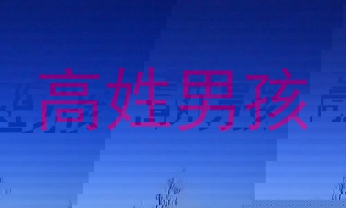 高姓男孩