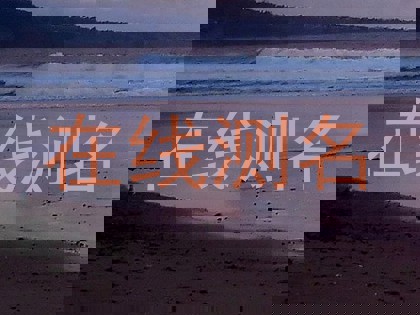 在线测名