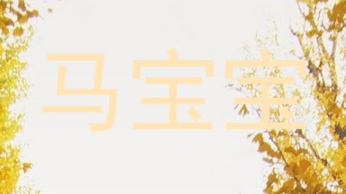 马宝宝