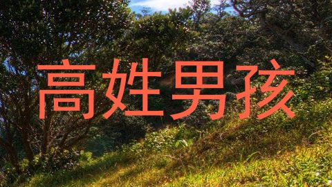 高姓男孩