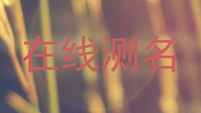 在线测名