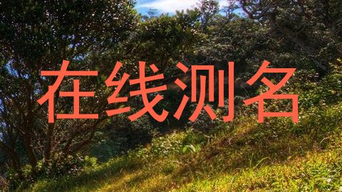 在线测名