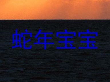 蛇年宝宝