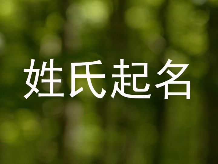 姓氏起名