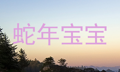 蛇年宝宝