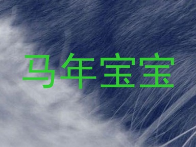 马年宝宝