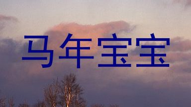 马年宝宝