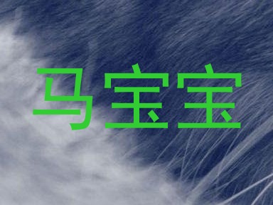 马宝宝