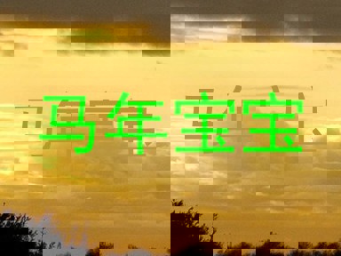 马年宝宝