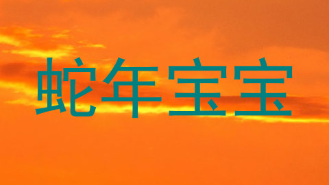 蛇年宝宝