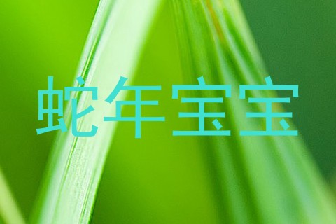 蛇年宝宝
