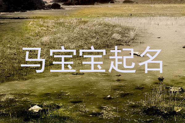 马宝宝起名