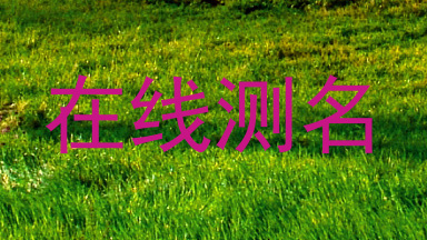 在线测名