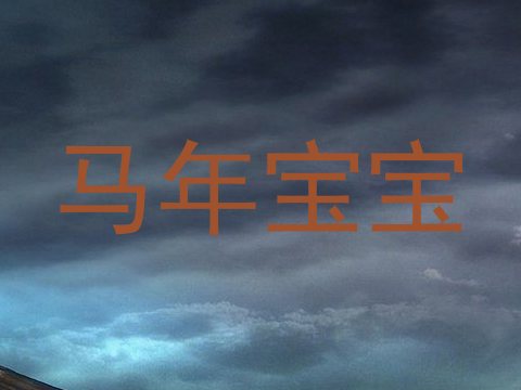 马年宝宝