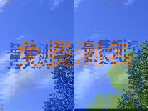 免费测名