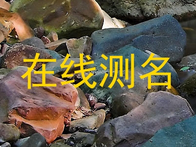 在线测名