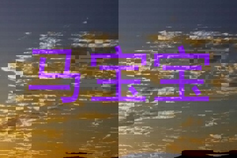 马宝宝